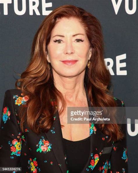 dana delany boobs|147 Dana Delany Getty Photos & High